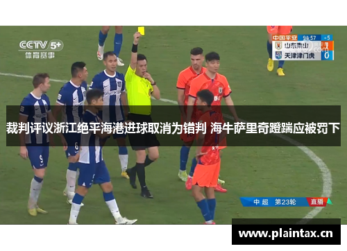 裁判评议浙江绝平海港进球取消为错判 海牛萨里奇蹬踹应被罚下